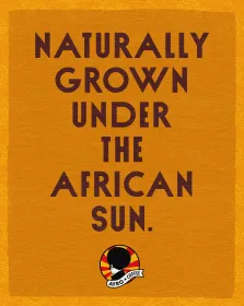 Mild & Aromatic Kaffeebohnen, Bio, Fairtrade 500g